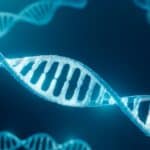 SAD: Svi su potencijalno osumnjičeni! Prave se DNK baze podataka kako bi se osoba uparila sa zločinom