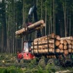 Ludilo! Škotske vlasti posekle 16 miliona stabala drveća da bi napravile prostor za "Zelena rešenja"