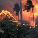 Da li su razarajući požari na Havajima izazvani namerno? Mnogi tvrde da iza toga stoji sam Svetski Ekonomski Forum