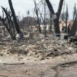 Nešto se tu dešava! Velike ponude za kupovinu devastiranog zemljišta na HAVAJIMA koje je potpuno uništeno u požaru