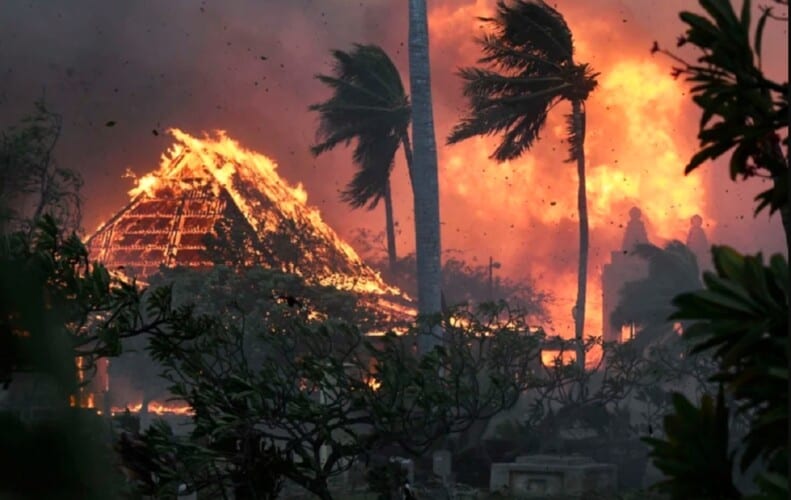  Da li su razarajući požari na Havajima izazvani namerno? Mnogi tvrde da iza toga stoji sam Svetski Ekonomski Forum