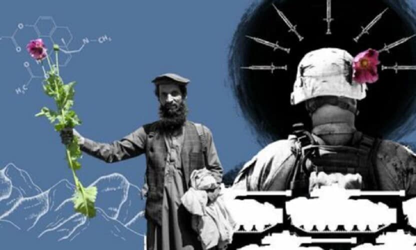  Talibani u Avganistanu iskorenili proizvodnju HEROINA- Za vreme AMERIČKE okupacije MAK CVETAO na sve strane