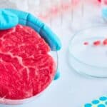 KINEZI će uskoro jesti MESO UZGOJENO U LABORATORIJI - Šire se pogoni za proizvodnju mesa od životinjskih ćelija