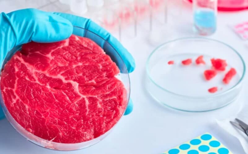  KINEZI će uskoro jesti MESO UZGOJENO U LABORATORIJI – Šire se pogoni za proizvodnju mesa od životinjskih ćelija