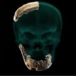 Naučnici veruju da su možda otkrili novu ljudsku vrstu