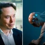 ILON MASK počinje da testira moždane čipove na ljudima dok se nižu svedočenja o ISPITIVANJU Neuralinka na životinjama koje su umrle