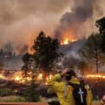 Svetski priznati klimatolog priznao: Šumske požare izazivaju ljudi ne KLIMATSKE PROMENE