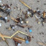 Studija: Mikroplastika može da uđe u mozak i izazove promene u ponašanju