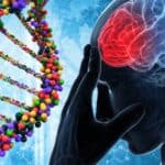 Naučnici primenjuju gensku terapiju na mozak kako bi promenili doveli do prekida raznih zavisnosti