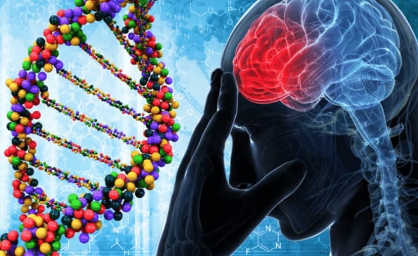  Naučnici primenjuju gensku terapiju na mozak kako bi doveli do prekida raznih zavisnosti