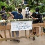 Indija: Uvode se ograničenja kretanja zbog širenja Nipah virusa - Stopa smrtnosti do 75%