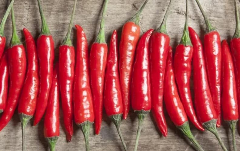 Ljuta paprika za jačanje srca, ublažavanje bolova i jačanje imunološkog sistema