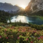 SAD mobilišu vojsku za borbu protiv klimatske krize