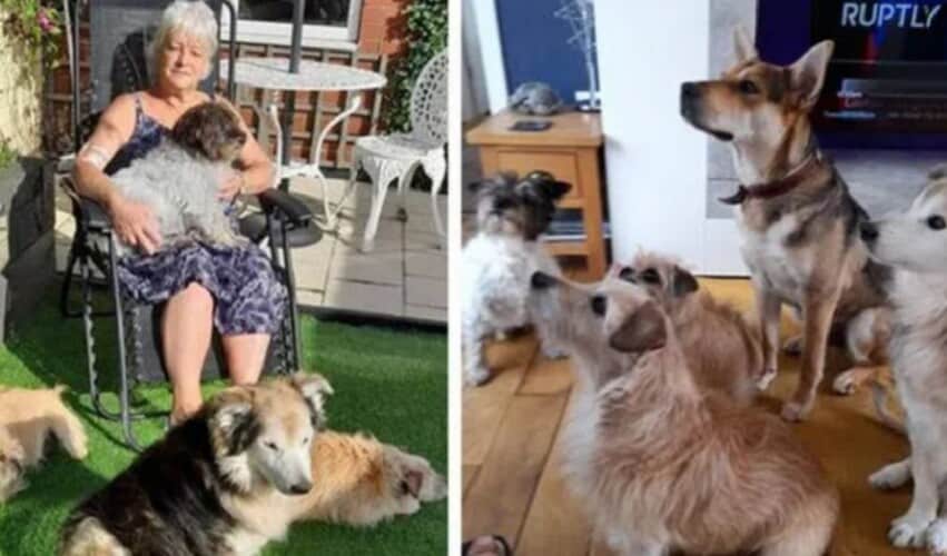  Žena iz Velike Britanije primorana da uspava svojih 5 kućnih ljubimaca nakon što je dobila “neizlečivu bolest” od pasa