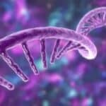 Meso životinja vakcinisanih mRNK vakcinama uskoro u prodaji