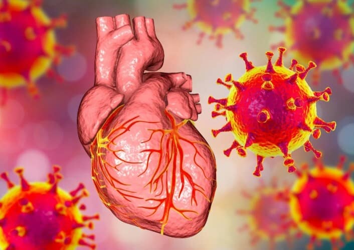  Nova zvanična studija uznemirila mnoge: mRNA vakcina otkrivena u srcima mrtvih ljudi