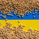 Evropa je u fazi PUCANJA zbog Ukrajinskog žita: Mađarska, Poljska i Slovačka najveće žrtve jeftine pšenice