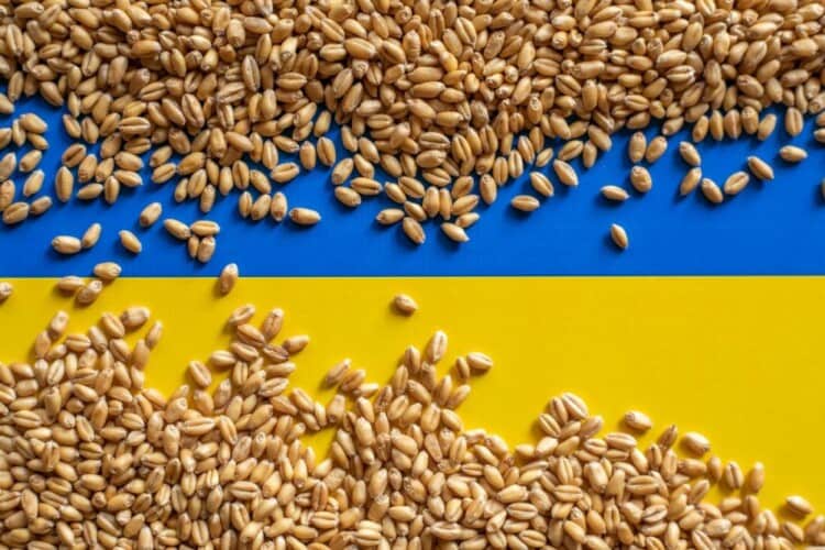  Evropa je u fazi PUCANJA zbog Ukrajinskog žita: Mađarska, Poljska i Slovačka najveće žrtve jeftine pšenice