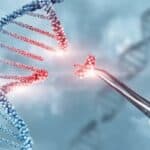 Kinezi tvrde da su razvili alat za genetsku modifikaciju koji je "bolji" nego što ima Amerika