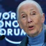 Smanjenje stanovništva za 90% rešilo bi sve "probleme" - tvrdi počasna članica Svetskog Ekonomskog Foruma (VIDEO)