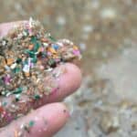 Potencijalni uticaj mikroplastike na glavne organe, uključujući mozak: Šta kaže nauka