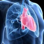 Nova recenzirana studija pokazuje kako vakcine oštećuju srca