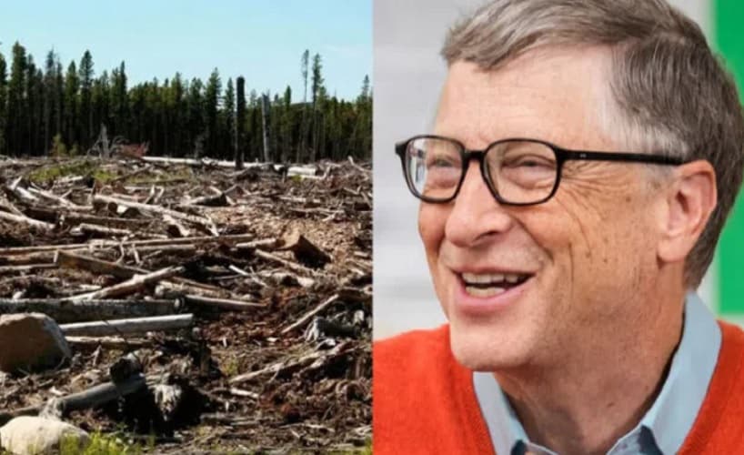  LUDILO! Bil Gejts finansira krčenje šuma na 30 miliona hektara… da bi se smanjilo globalno zagrevanje