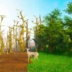 Naučnici upozoravaju da će virusi ubice koji se prenose sa životinja na ljude umnožiti zbog klimatskih promena