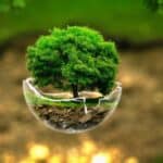 Svetska meteorološka organizacija: Klimatske promene bi mogle da uruše decenije napretka u ljudskom zdravlju