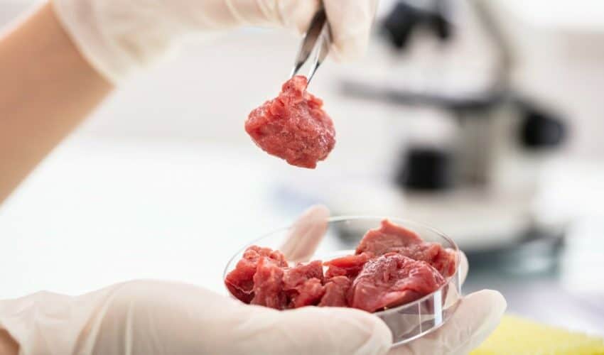  Oni će prvi jesti veštačko meso – Češka će biti prva zemlja u EU u kojoj će se proizvoditi meso iz epruvete