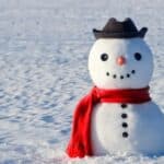 Globalno zagrevanje?! U Srbiji sneg i do 40 cm, neka mesta ostala i bez struje zbog snežnog prekrivača