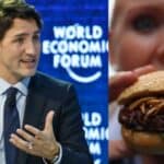 Kanada započinje da zamenjuje meso insektima - Trudo ulaže veliki novac za eliminaciju tradicionalne ishrane