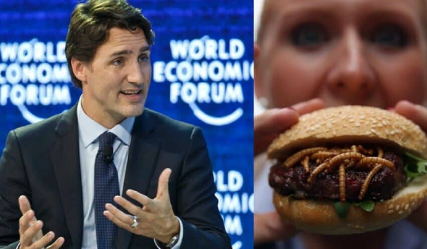  Kanada započinje da zamenjuje meso insektima – Trudo ulaže veliki novac za eliminaciju tradicionalne ishrane