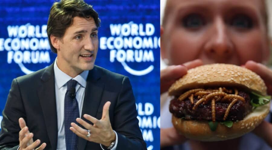 Kanada započinje da zamenjuje meso insektima - Trudo ulaže veliki novac za eliminaciju tradicionalne ishrane