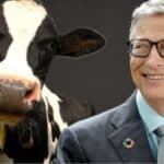 Otkriveno da sintetičko mleko Bila Gejtsa sadrži 92 kancerogena jedinjenja