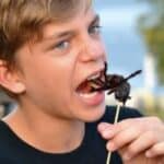 Proizvođači hrane širom sveta uhvaćeni kako postepeno ubacuju INSEKTE u hranu namenjenu deci