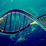 Kina prikuplja DNK na globalnom nivou od trudnica i fetusa