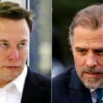 Ljubitelj kreka Hanter Bajden napao Ilona Maska