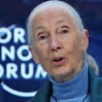 Članica Svetskog ekonomskog foruma: Smanjenje ljudske populacije za 90% bi „spasilo planetu“ od „globalnog zagrevanja“