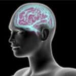 Nauka ili nastavak kampanje protiv pušenja? Nova studija tvrdi da pušenje smanjuje mozak i da ostavljanje cigara ne popravlja štetu