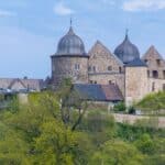 Zeleni započinju krčenje nemačke "začarane" šume kako bi napravili mesta za vetroturbine