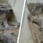 Naučnici ne mogu da dokažu DNK poreklo mumificiranih "vanzemaljaca" iz Perua