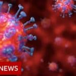 Mejnstrim narativ! Evo kako je BBC lagao o riziku od COVID-a kako bi povećao podšku javnosti za zaključavanje građana