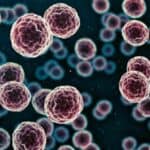 Očekuje se da će slučajevi raka dostići rekordan nivo u 2024., stručnjaci objašnjavaju potencijalne uzroke