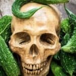 Genetičari na putu da stvore genetski modifikovan sudnji dan za poljoprivredu