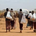 Afrika u Srbiji - Stanovnicima Kenije na raspolaganju 20.000 poslova u našoj zemlji