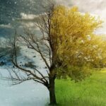 Mejnstrim mediji histerišu a dokazi obaraju tvrdnje da je protekla godina bila najtoplija ikada