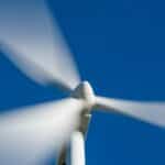 Istraživanje razotkriva da su vetroturbine razlog što će 70% životinja izgubiti staništa