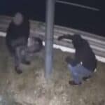 Upoznajte novog "Narodnog heroja" iz Italije: Brusilicom seče stubove sa saobraćajnim kamerama, ne mogu da ga uhvate (VIDEO)