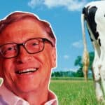 Bil Gejts želi da izmeni DNK kravama kako bi pobedio "klimatske promene" (VIDEO)